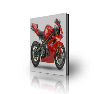 675 Triumph Daytona Manual