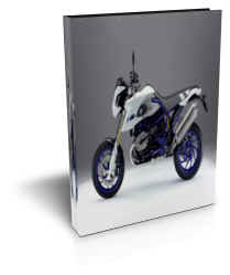 BMW HP2 Megamoto