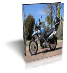 BMW F650GS