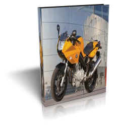 BMW F800S