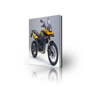 BMW F800GS