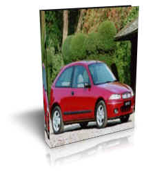 Rover 200 Manual