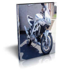 Suzuki SV1000s