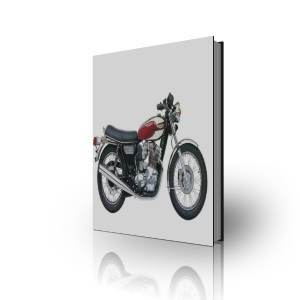 Triumph T160