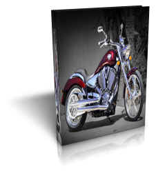 Victory Vegas Manual