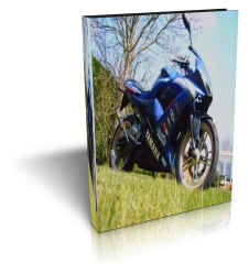 YAMAHA TZR 50