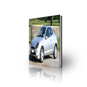 FORD PUMA MANUAL