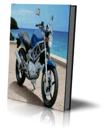 honda vtr250