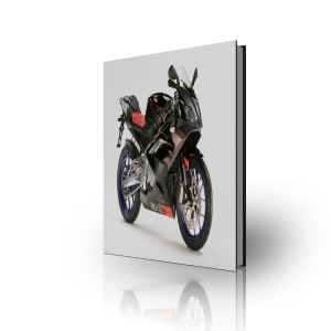 Aprilia RS125