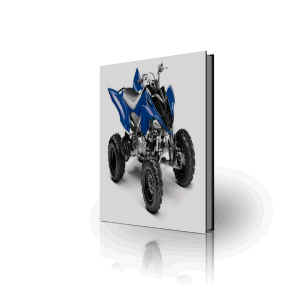 Yamaha Raptor 80